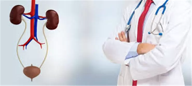 urology-doc.webp