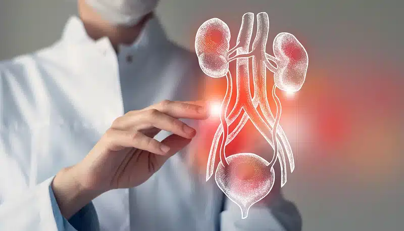 أفضل دكتور مسالك بولية في الدقي