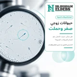 حيوانات زوجي صفر وحملت